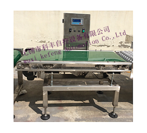 Dynamic weighing scale (sorting scale)